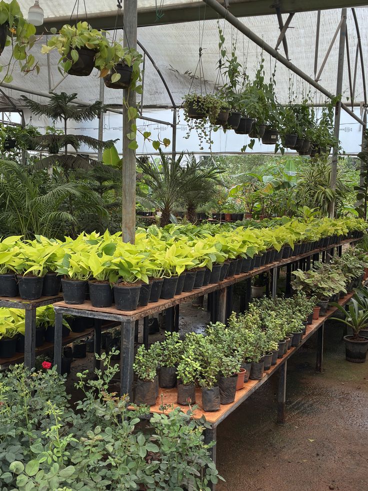 herbal garden