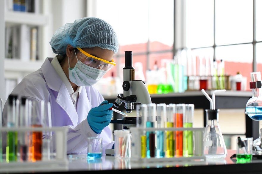 lab